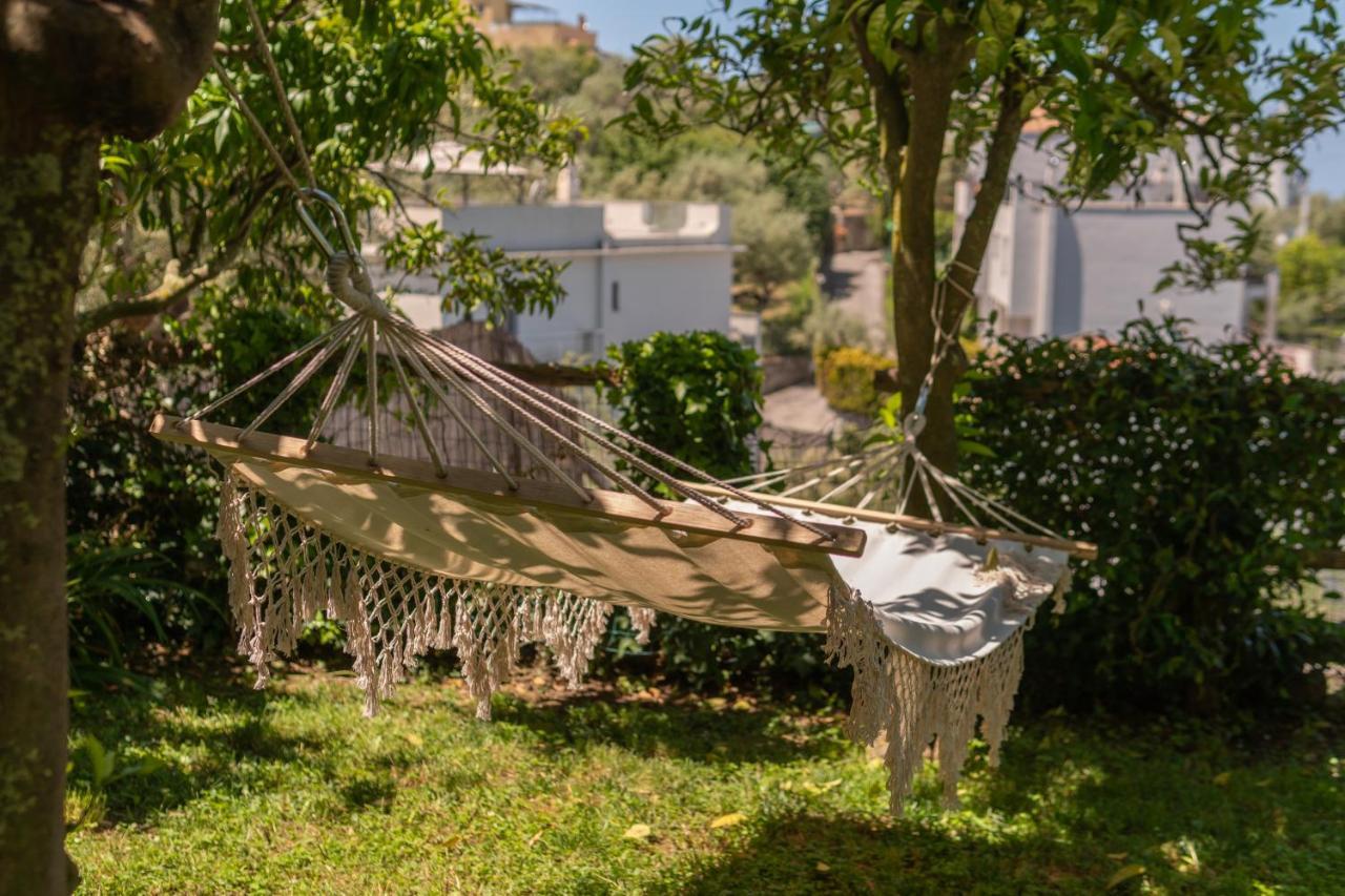 Villa Carolina Sorrento Private Heated Pool And Sea View ภายนอก รูปภาพ