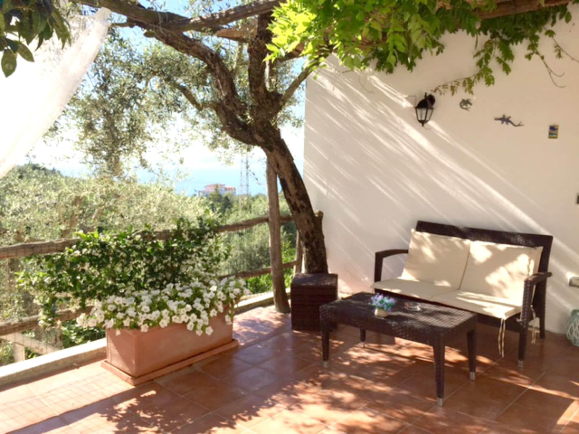 Villa Carolina Sorrento Private Heated Pool And Sea View ภายนอก รูปภาพ