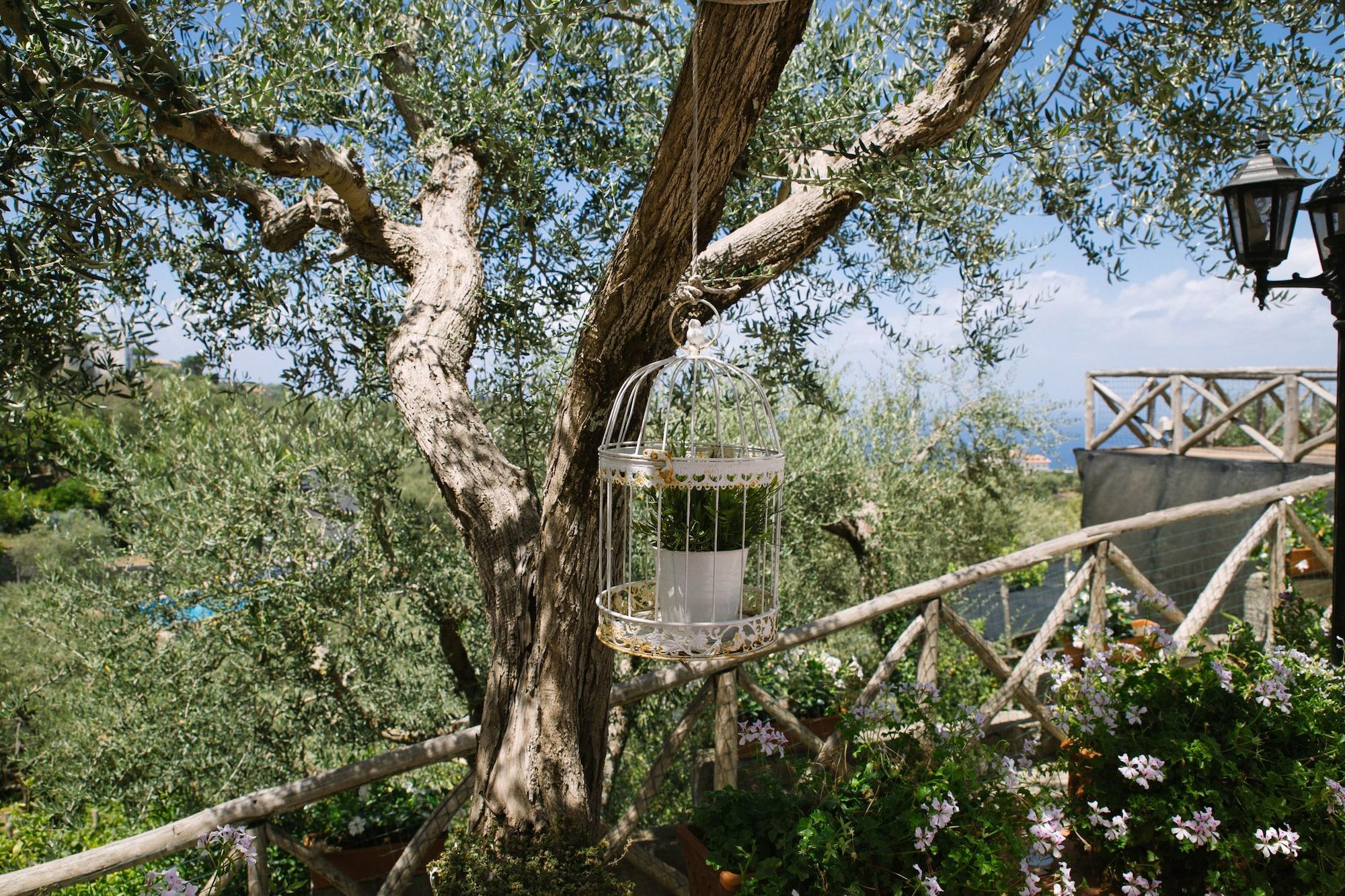 Villa Carolina Sorrento Private Heated Pool And Sea View ภายนอก รูปภาพ