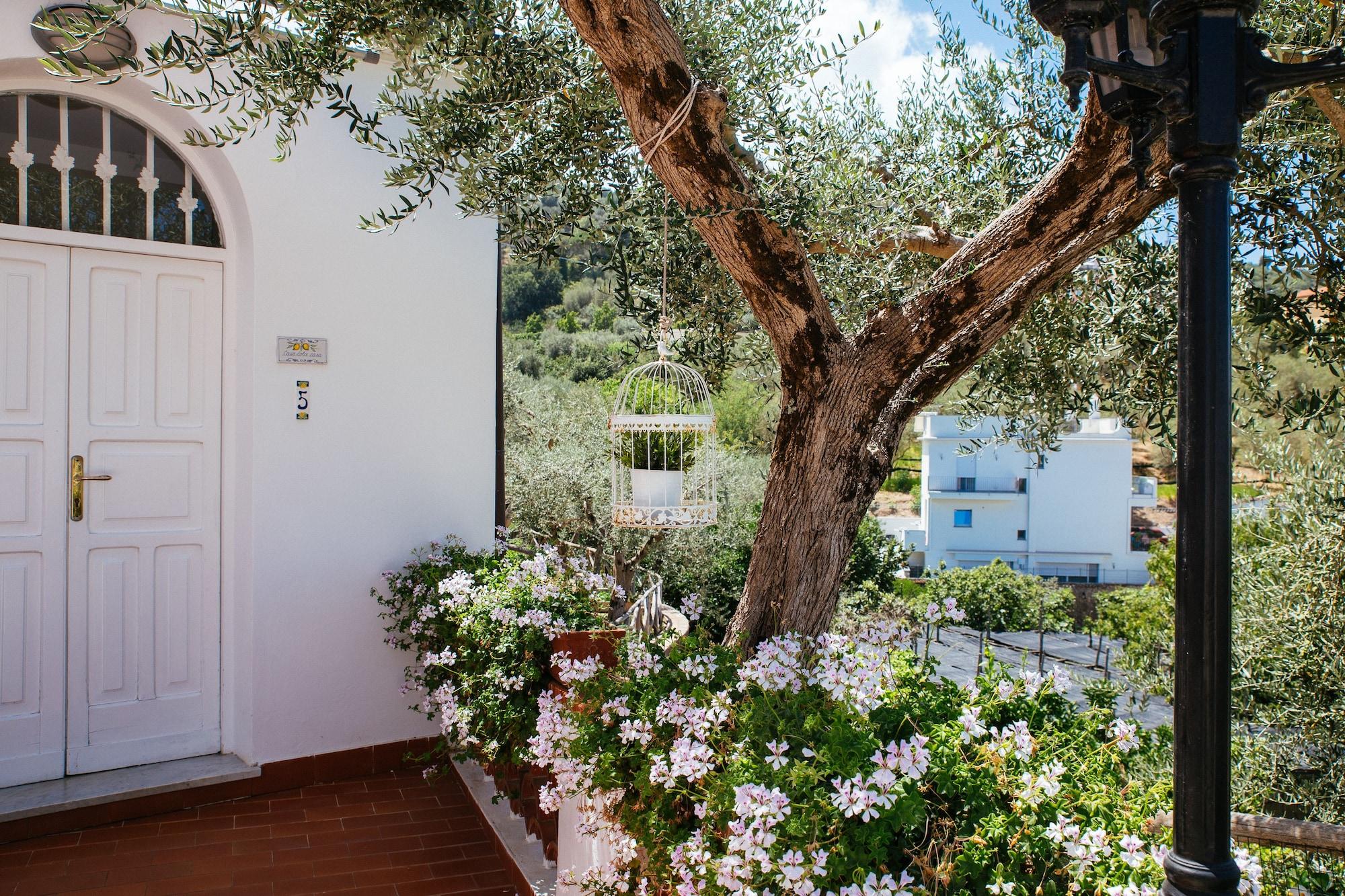 Villa Carolina Sorrento Private Heated Pool And Sea View ภายนอก รูปภาพ